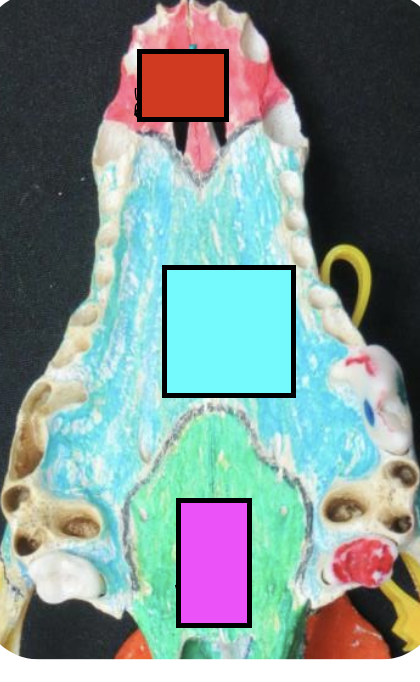 <p>what is the blue?</p>