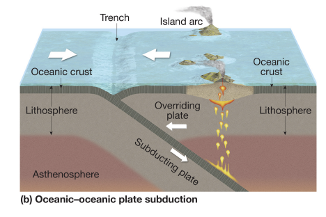 <p><strong>convergent boundary</strong></p>