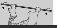 <p>When the condyles are in their most superior position in the articular fossae and the mouth is purely rotated open, the axis around which this movement occurs is called the "Terminal Hinge Axis."</p>