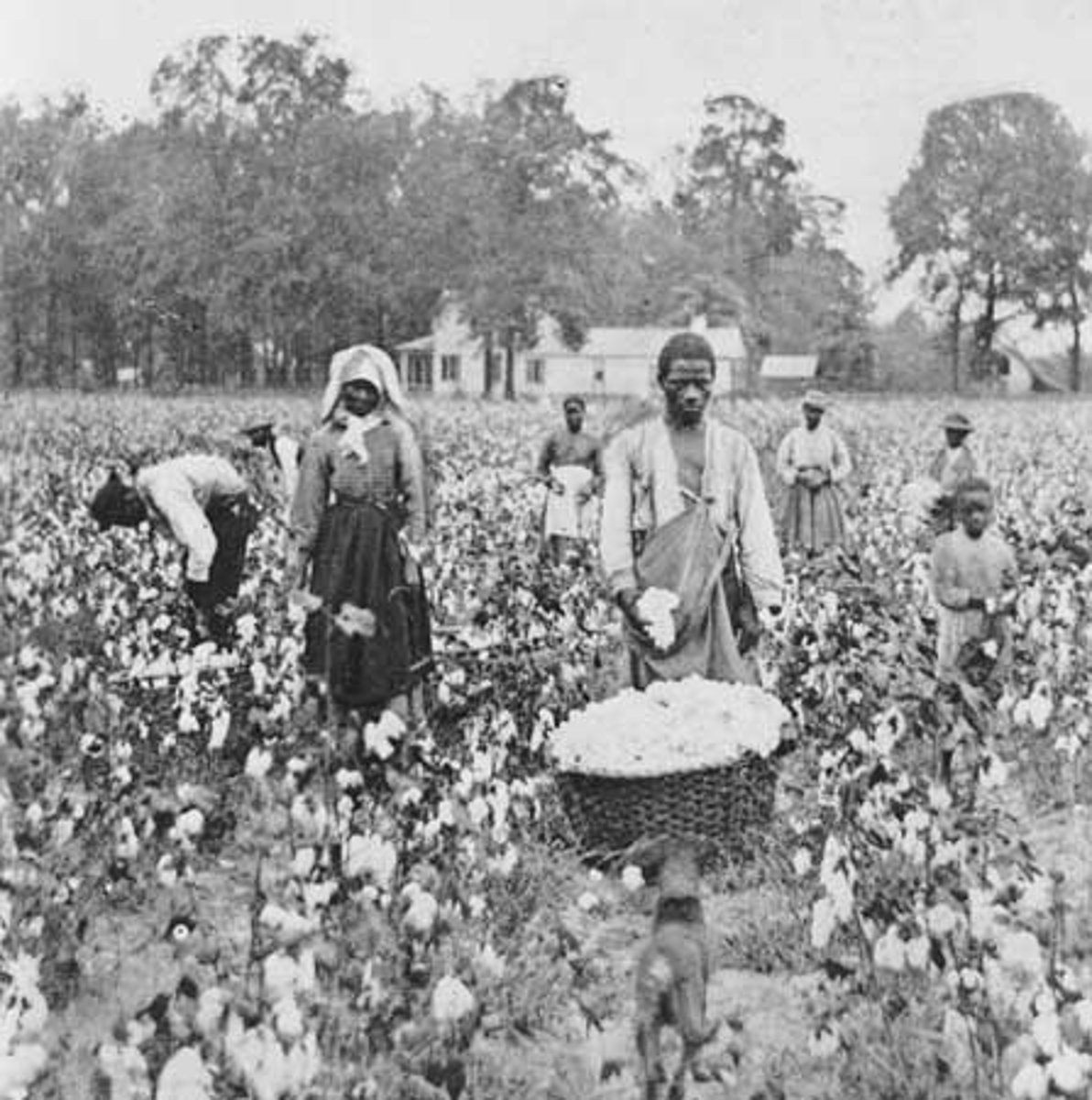 <p>First enslaved Africans arrive in Virginia</p>