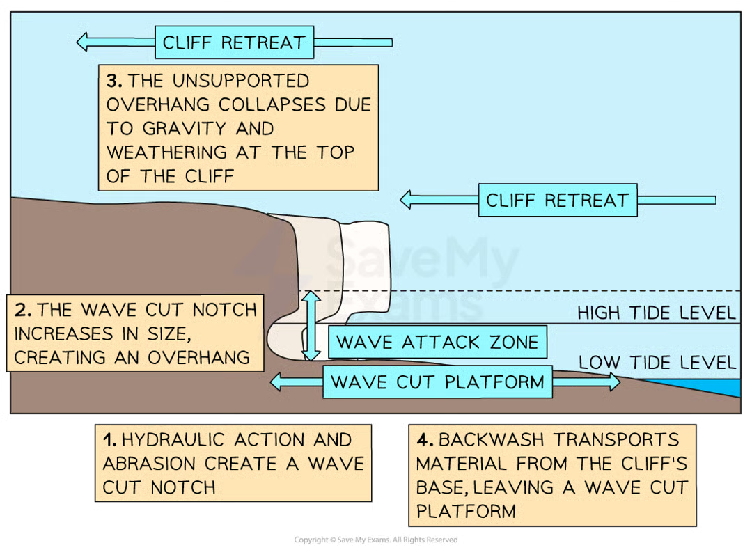 <ul><li><p>At high-energy coastlines, hydraulic action and abrasion can cause the formation of <strong>wave-cut platforms</strong>&nbsp;</p><ul><li><p>Powerful destructive waves attack the base of the cliff at high tide&nbsp;</p></li><li><p>The hydraulic action and abrasion create a <strong>wave-cut notch </strong>which over time increases in size&nbsp;</p></li><li><p>This is called<strong> undercutting&nbsp;</strong></p></li><li><p>Eventually, the overhang created by the undercutting collapses due to weathering and gravity&nbsp;</p></li><li><p>The cliff retreats, leaving a wave cut platform that is exposed at low tide</p></li></ul></li></ul><p></p>