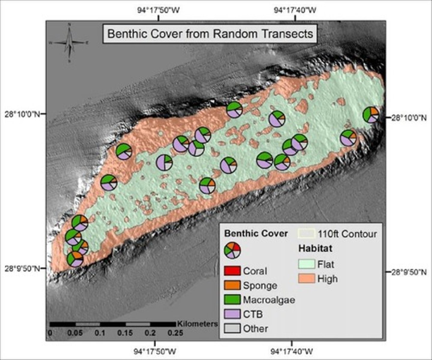 <p>Lines along which data is collected in surveys.</p>