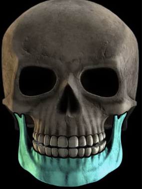 <p>located inferiorly in the facial skeleton</p><p><strong>largest &amp; strongest bone of the face</strong></p>