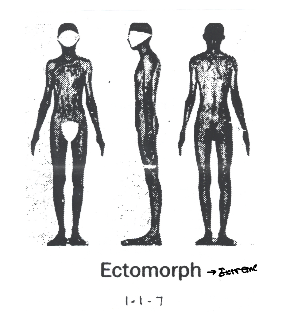 <p>What characteristics did Sheldon give Ectomorphs(frail)?</p>