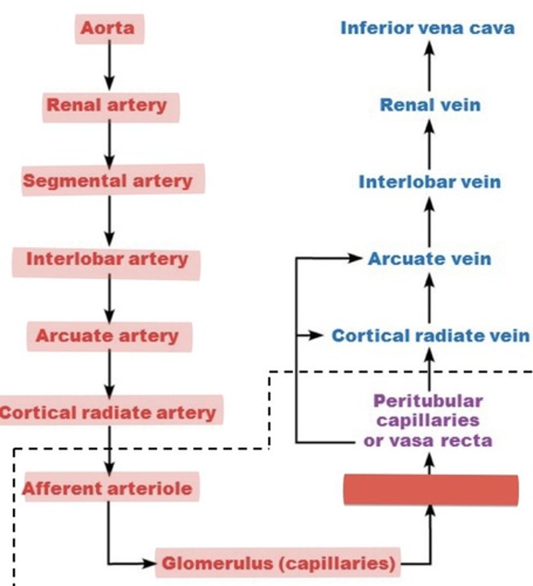 <p>What is this?</p>