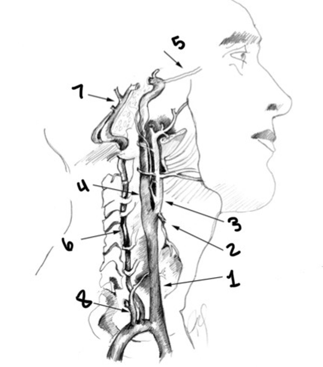 <p>What is 2</p>