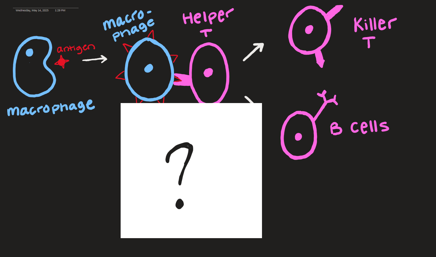 <p>what goes here?</p>