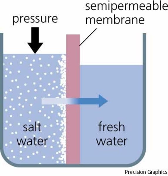 <p>net movement of water molecules from a high (diluted) to low (concentrated) water potential through a partially permeable membrane</p>