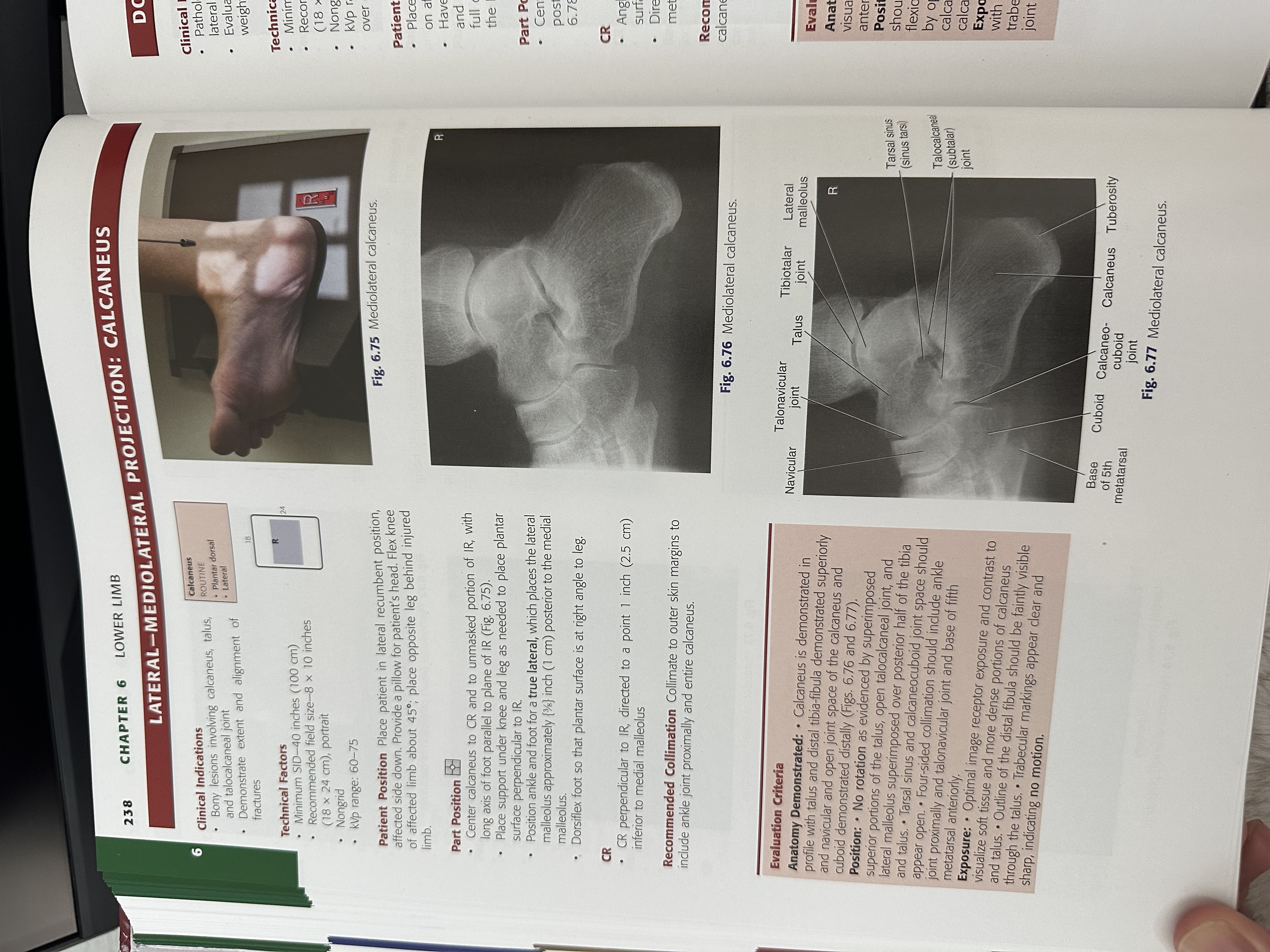 knowt flashcard image