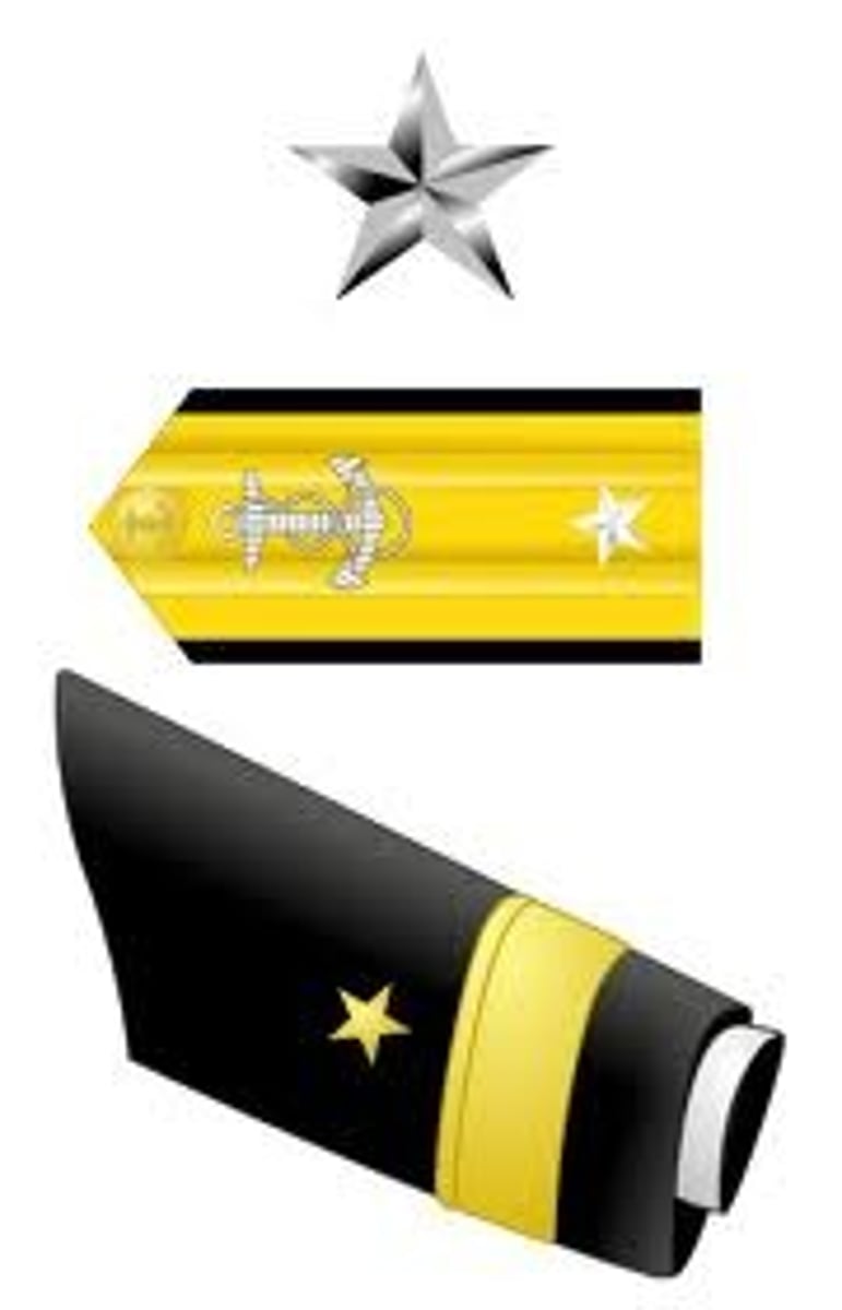 <p>Rear Admiral (lower half)</p>