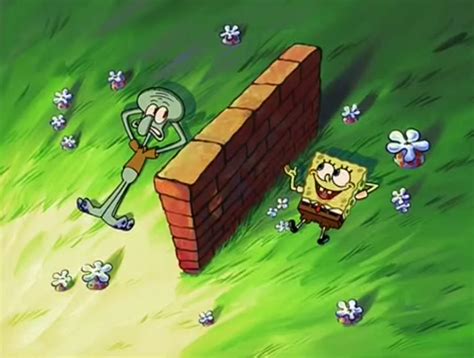 <p>dividing wall</p>