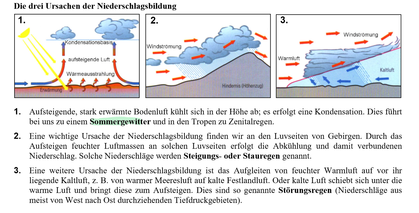 <ol><li><p>Sommergewitter</p></li><li><p>Steigungsregen</p></li><li><p>Störungsregen</p></li></ol>