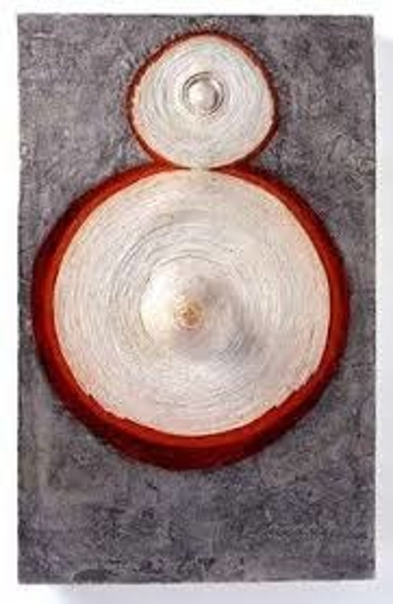 <p>A relief painting incorporating wire, cloth, and Papier-mâché that she described as representing both male and female body parts. <span><span>Though Hesse initially likened the forms to both male and female body parts, she later referred to the work as a "breast job" with one "pink nipple and one white." The title, Ringaround Arosie, </span></span><strong>puns on the popular nursery rhyme and pays tribute to Hesse's friend Rosalyn Goldman, who had recently become pregnant</strong><span><span>.</span></span></p>