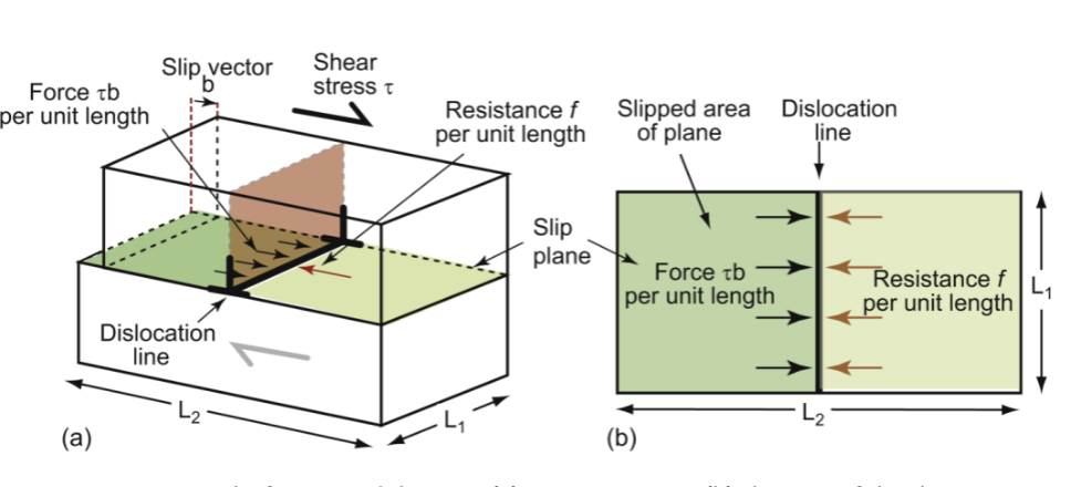 <p>dislocations attempt to keep their length as short as possible - they behave as if they have this, T, like a rubber band; T ~ Eb²/2 - can be lowered by reducing b (in close-packed planes in FCC metals)</p>