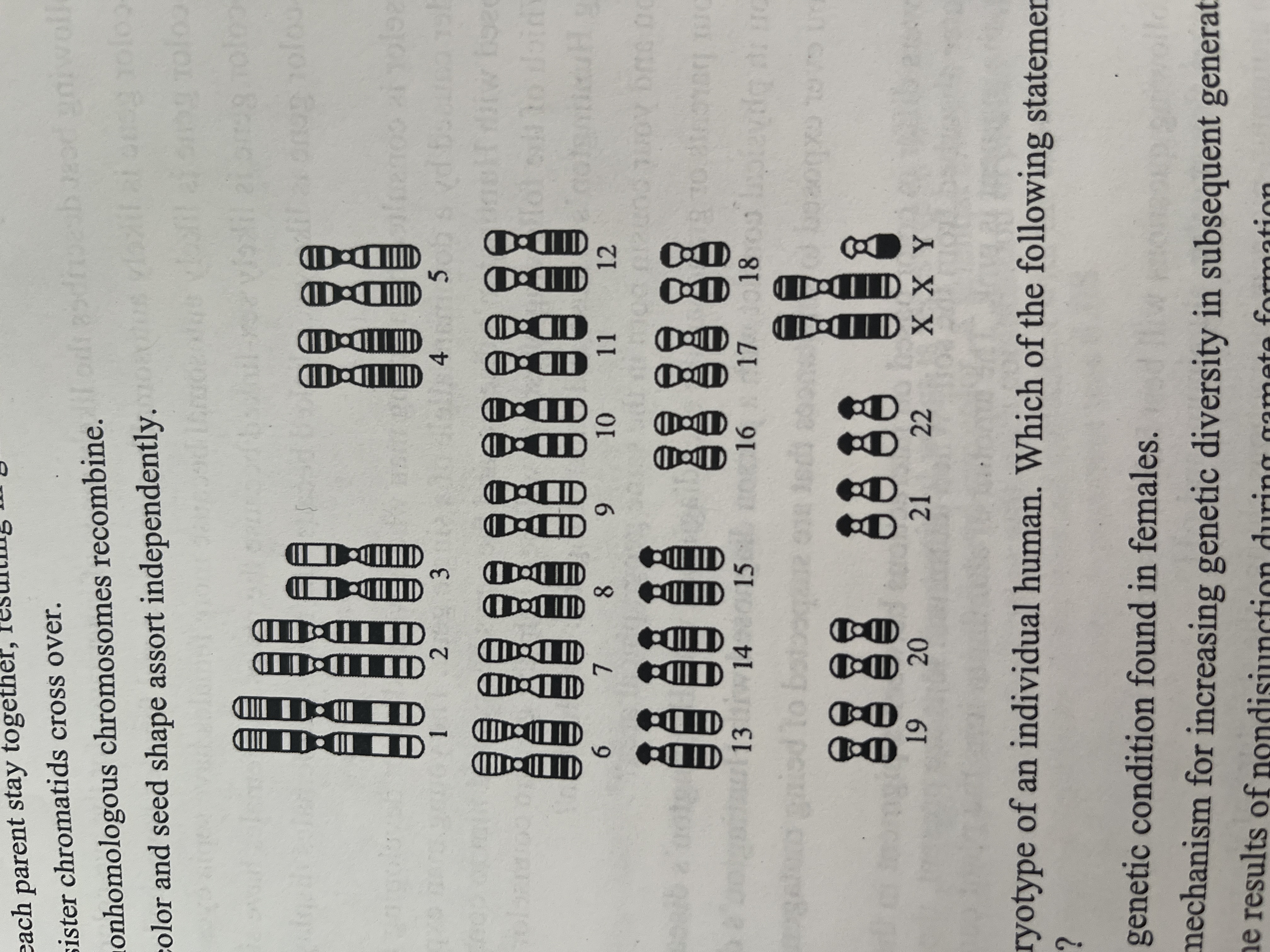 <p><span>The diagram Depicts a karyotype </span><br><span>Which of the following statements concerning the karyotype in the diagram is true?</span></p>