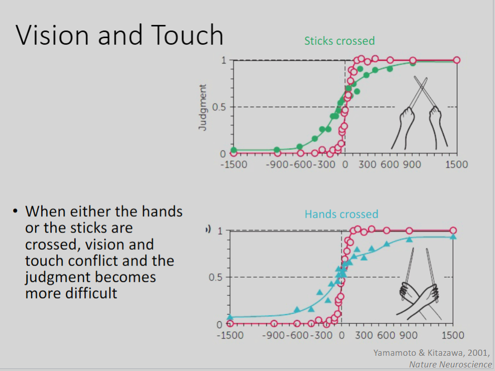 <ol><li><p>When you are holding two sticks side by side, generally you are able to tell which one is tapped first </p><ol><li><p>unless they occur in very short intervals (middle section of graph) </p></li></ol></li><li><p>When <strong>sticks crossed</strong></p><ol><li><p>judgement becomes more difficult </p></li></ol></li><li><p>When <strong>hands crossed</strong></p><ol><li><p>judgement becomes more difficult </p></li></ol></li><li><p>when<strong> sticks and hands crossed </strong></p><ol><li><p>judgement returns to normal</p></li></ol></li></ol><p></p>