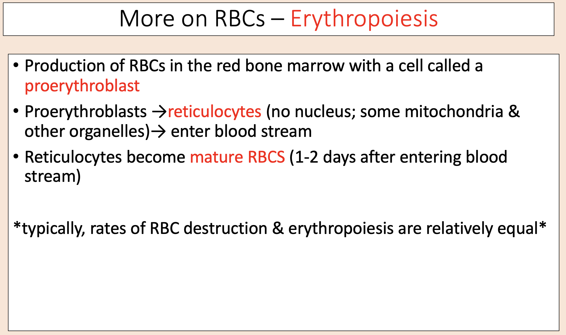 <p><span><span>• Production of RBCs in the red bone marrow with a cell called a </span></span><span style="color: rgb(255, 0, 0);"><span>proerythroblast.</span></span></p><p><span>• Proerythroblasts →</span><span style="color: rgb(255, 0, 0);"><span>reticulocytes </span></span><span>(no nucleus; some mitochondria &amp; other organelles)→ enter blood stream.</span></p><p><span>• Reticulocytes become </span><span style="color: rgb(255, 0, 0);"><span>mature RBCS </span></span><span>(1-2 days after entering blood stream).</span></p><p><span>• Typically, rates of RBC destruction &amp; erythropoiesis are relatively equal.</span></p>