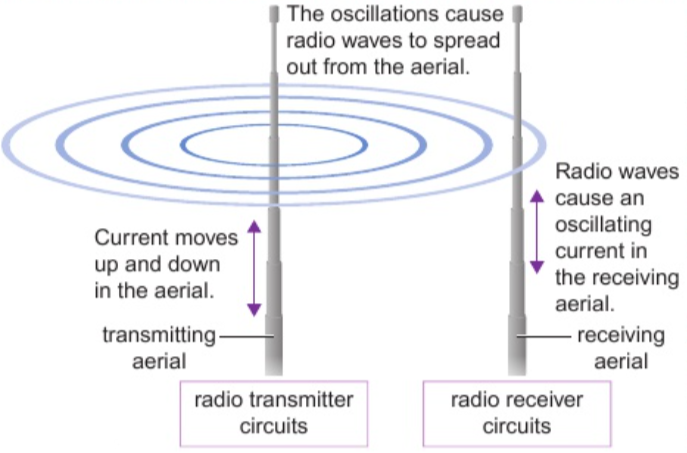 <p>radio waves produced by/themselves induce oscillations in electrical circuits</p>
