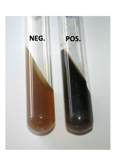 <p>identify members of the group D streptococci. Enterococcus faecalis can grow in bile salt and hydrolyze esculin, forming a black slant.</p>