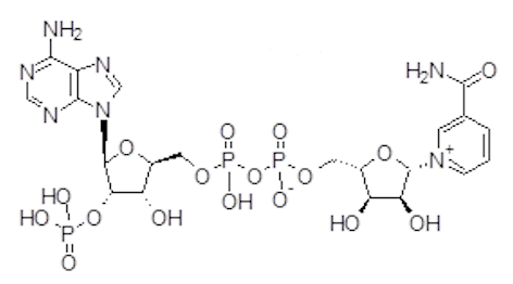 <p>Name that structure.</p>