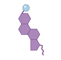 <p>Name this structure </p>