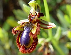 <p>What is demonstrated in the picture?</p>