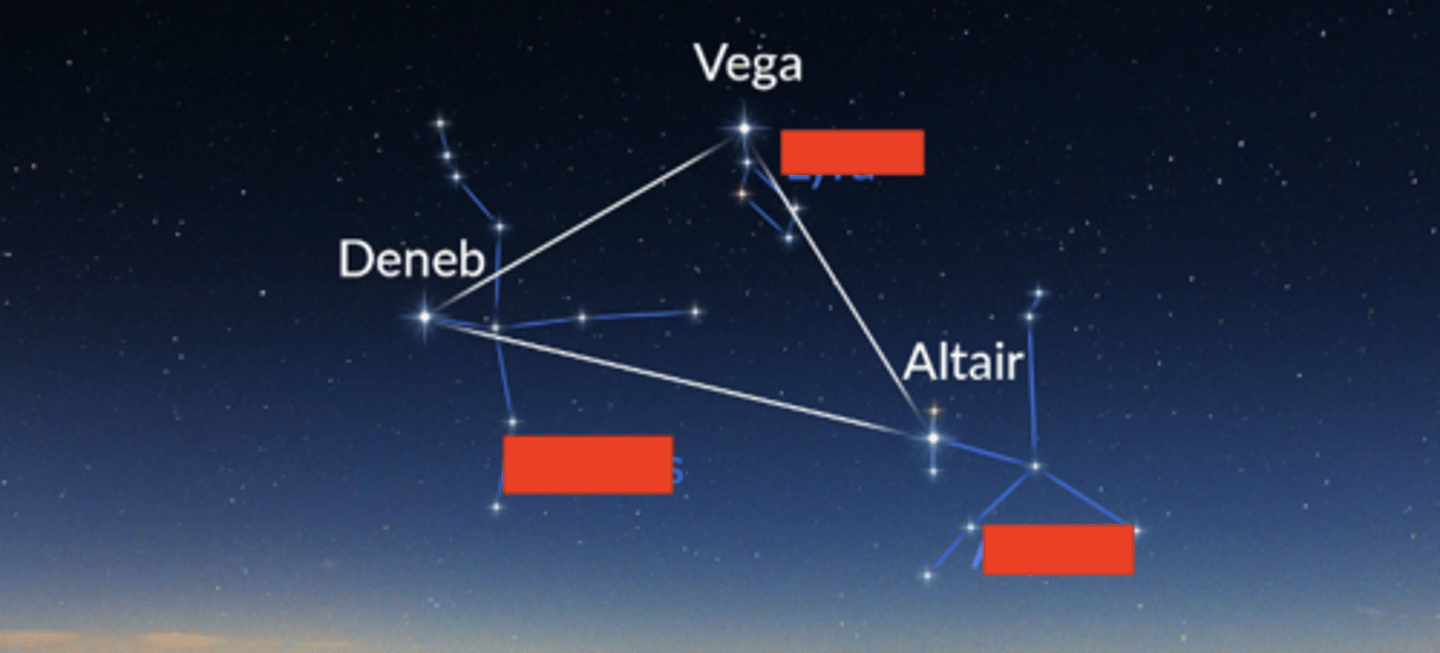 <p>what are the constellations in the summer triangle?</p>
