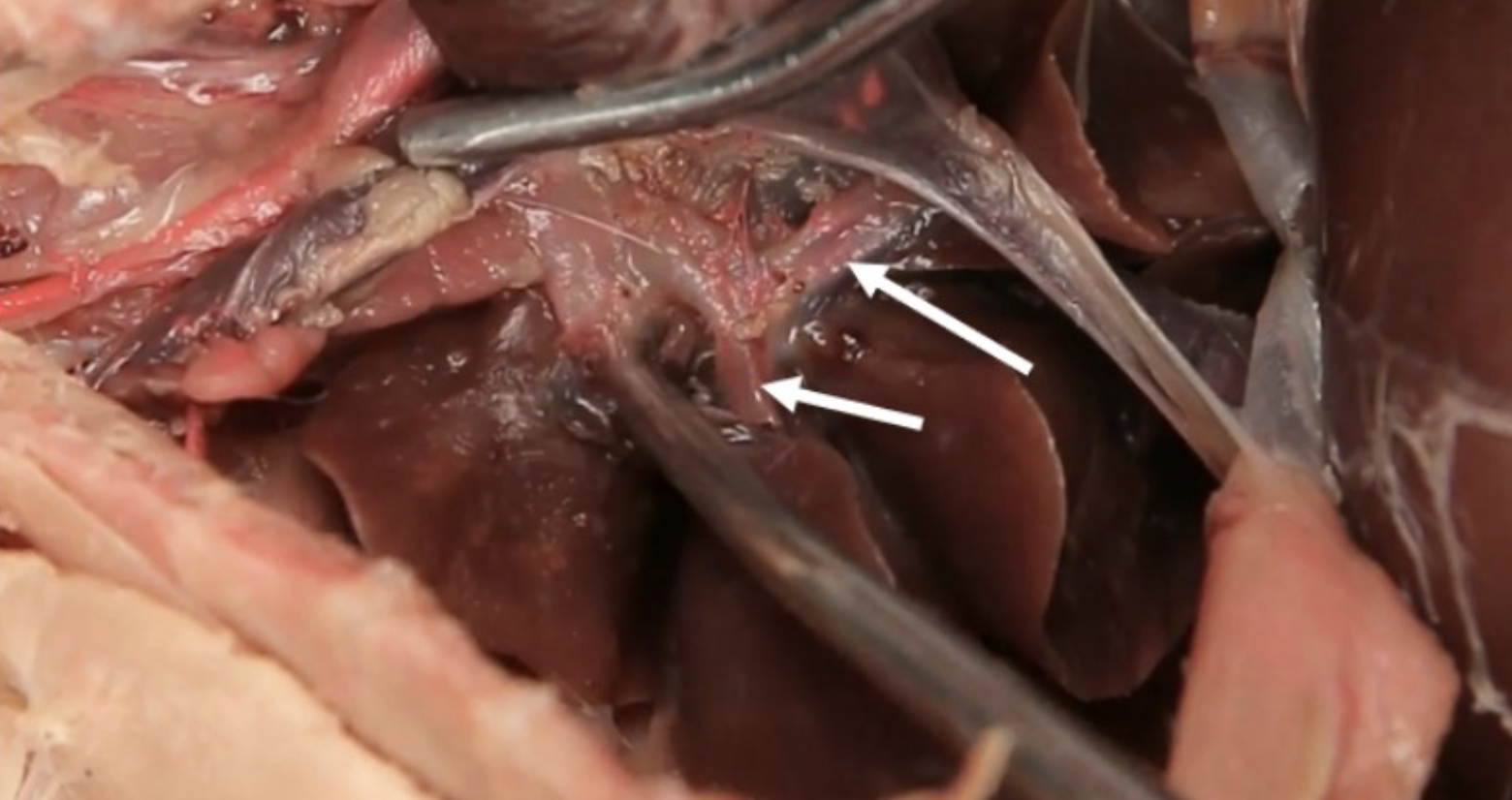 <p>What is this?</p>