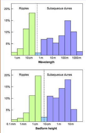 <p>Beds of sand in rivers, estuaries, and beaches that are much larger than ripples, leaving cross beds. They are different in the sense that dune crests (wavelengths) are larger in spacing and higher than ripples. However, sand migration works in the same way </p><p>May have 2D and 3D dune cross beds</p>