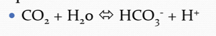 <p>The pH will lower and an increase in HCO3- concentration</p>