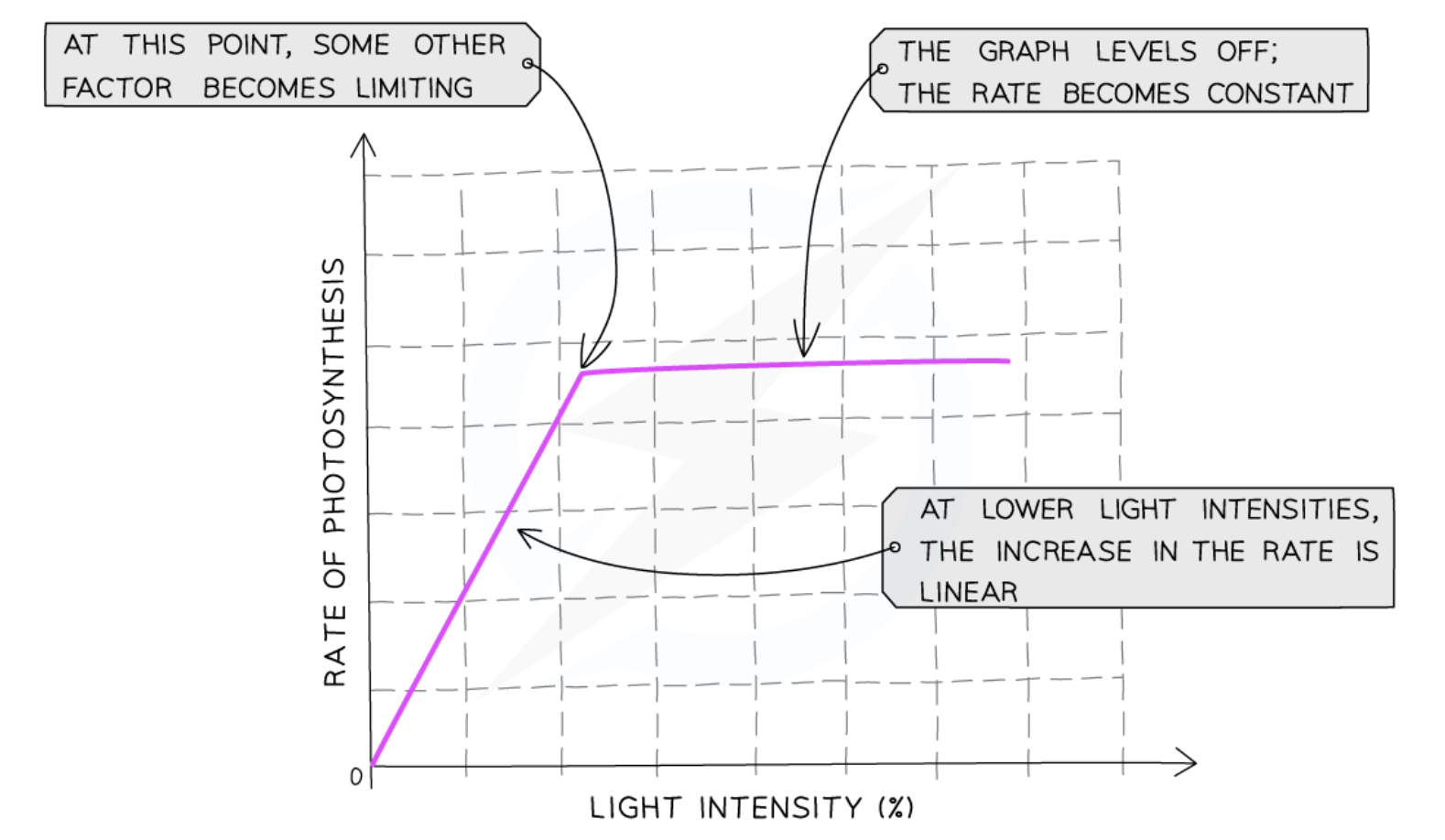 <p>Light needed as an energy source. As light intensity increases, ATP &amp; red.NADP produced at higher rate (faster LDS occurs) </p><ul><li><p>More ATP &amp; red.NADP produced so Calvin Cycle occurs faster</p></li></ul><p></p>