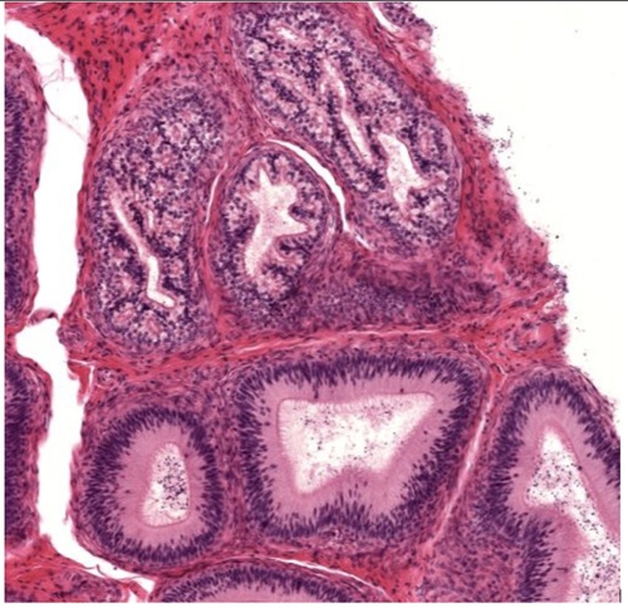 <p>Compare the top and bottom structures in the image</p>