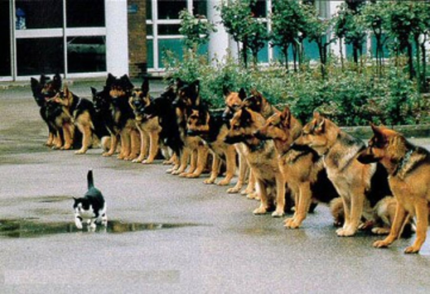 <p>brave, courageous</p>