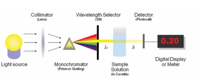 <p><strong>Light source </strong>→ <strong>Collimator</strong> (lens) → <strong>Monochromator </strong> (Prism or Grating) →<strong> Wavelength Selector </strong>(Slit) → <strong>Sample solution</strong> (in cuvette) → <strong>Detector</strong> (Photocell) → <strong>Digital Display or Meter</strong></p>