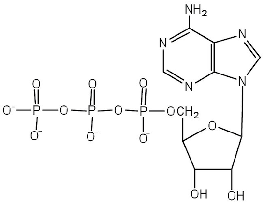 <p>Name that structure.</p>