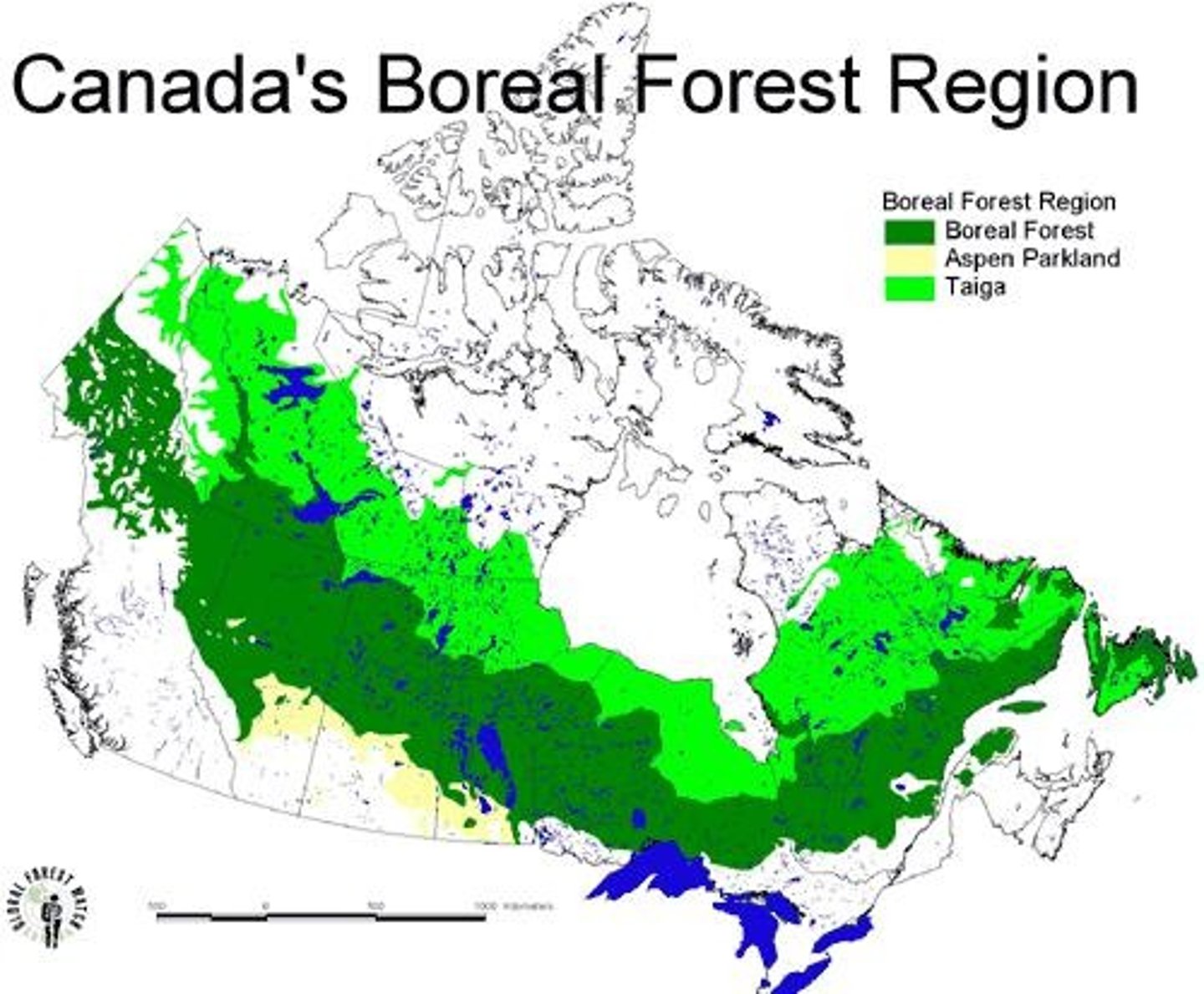 <p>The Boreal Shield is a forested ecozone in Canada characterized by a northern boreal forest dominated by Black Spruce and White Spruce.</p>