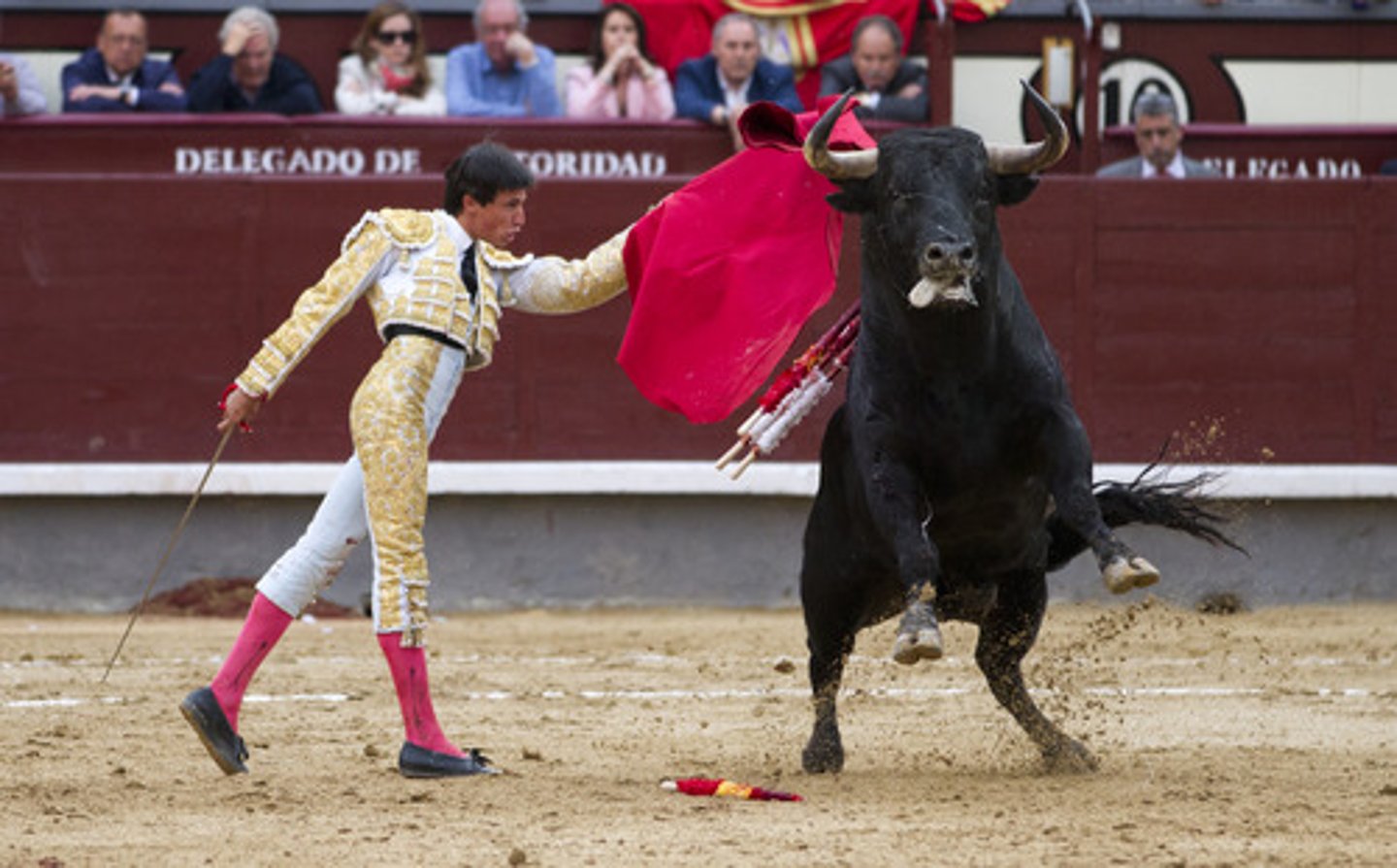 <p>bullfighting</p>