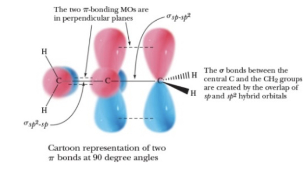 <p>The following cartoon is the representation of…. Complete with the TRUE definition</p>