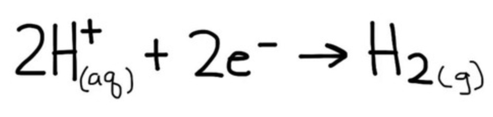 <p>reduction</p>
