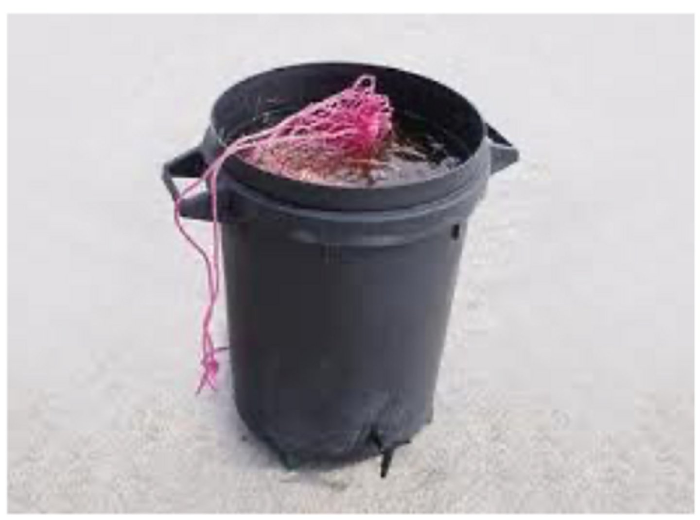 <p>how can we prevent pasture-associated laminitis</p>