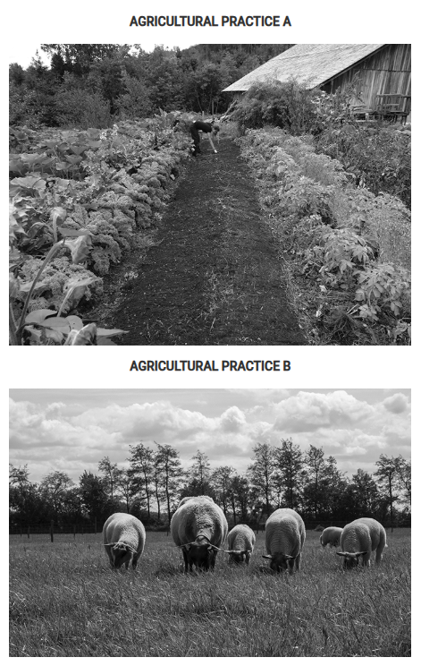 <p><span><span>Based on von Thünen’s model of rural land use, which of the following explains the location of agricultural practice A or B relative to the market?</span></span></p>