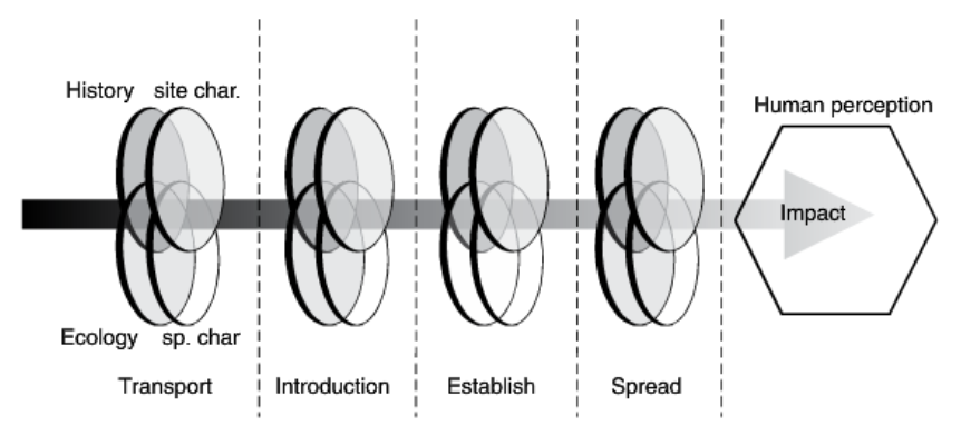 <p>Species characteristics, environmental site characteristics, ecological interactions, and history all interact to impact assessment, but that is always viewed through a human lens of importance, which are subject to change (economics, aesthetics, culture, scientific views, and health)</p>