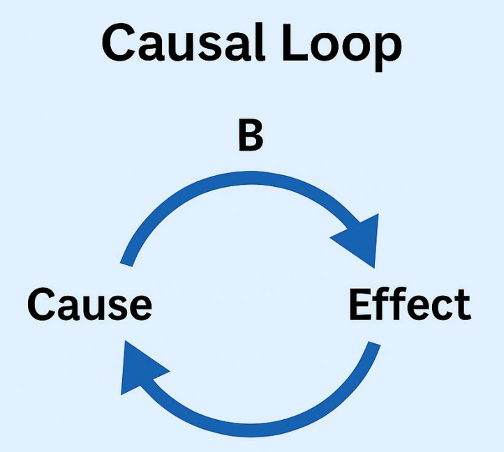 <p>Causal Loop</p>
