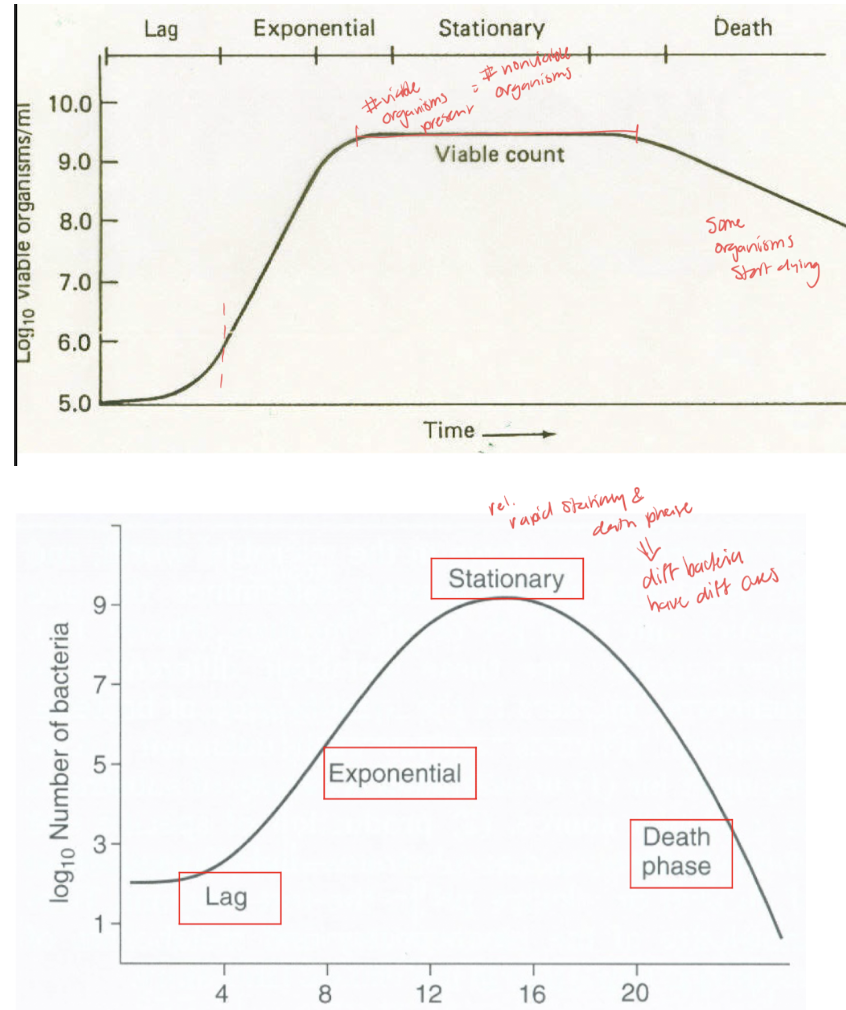 <p><span style="font-family: &quot;Times New Roman&quot;, serif;">can have different growth rates, but all have the same phases (lag, log, stationary, death).</span></p>