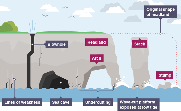 <p>Erosion in cliff → forms caves → cave gets bigger → sea arch forms → sea arch collapses → stack is formed → stack collapses → stump is formed</p>