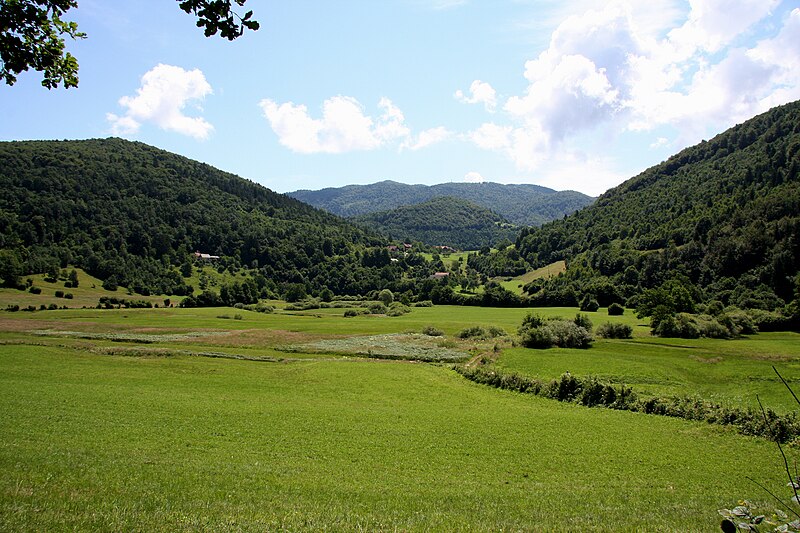 <p>večje kraške globeli skledaste oblike, katerih dno večinoma prerašča travnik, občasno pa je lahko tudi poplavljeno</p>
