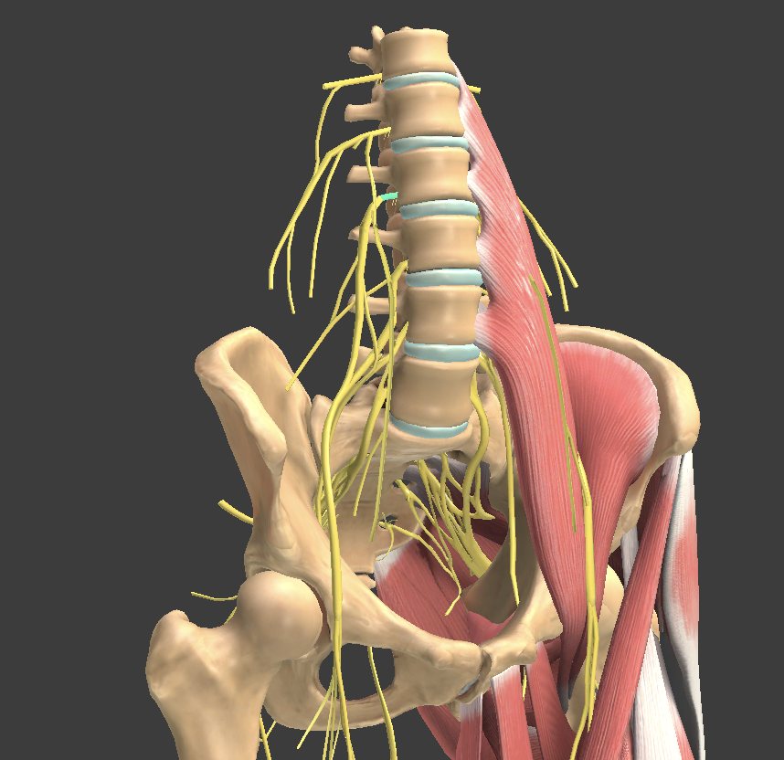 <p>What structure is shown?</p>