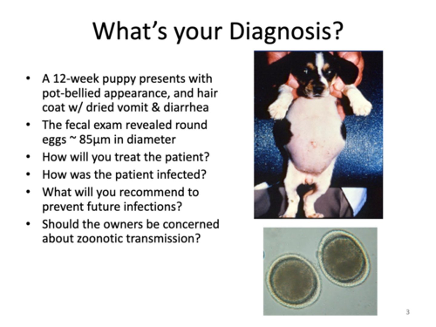 <p>What's Your Diagnosis?</p>