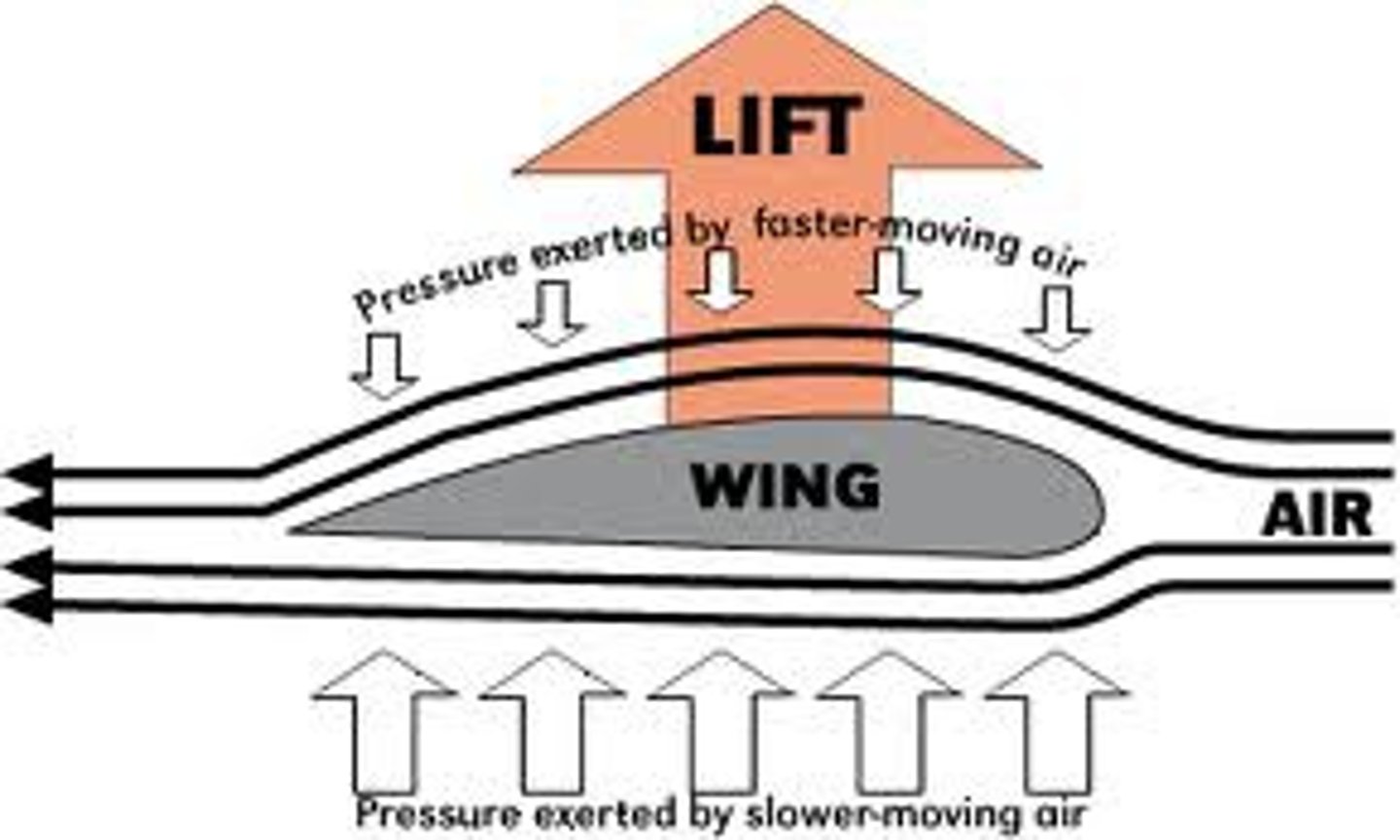 <p>(C) The velocity of the air under the wings is less than the velocity of air above the wings, creating a higher pressure under the wings, giving the airplane lift.</p>