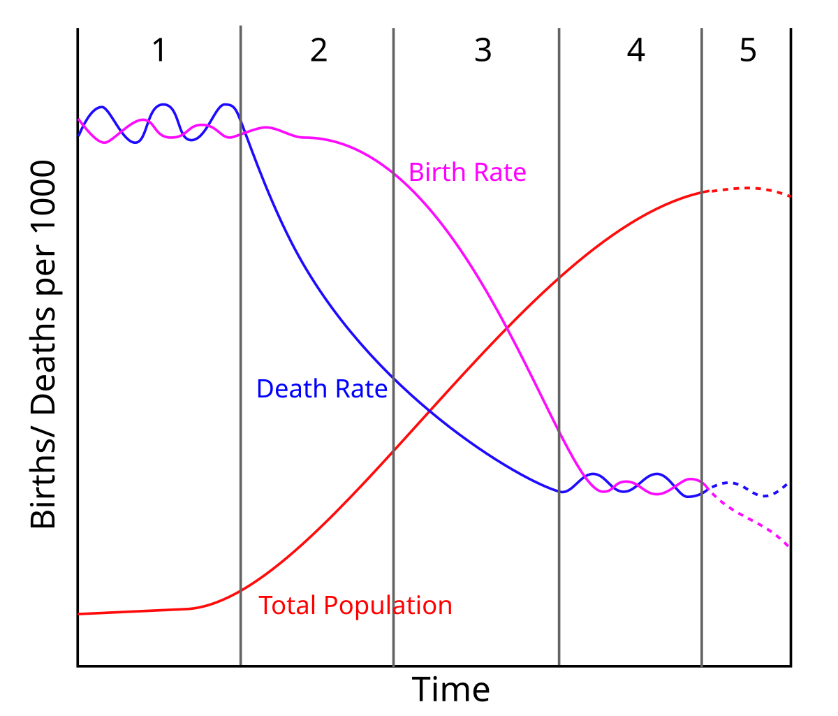 <p>Shows what type of diseases a country is most likely to face depending on its development stage.</p>